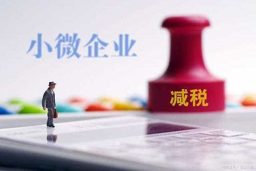 至年底，山東免除個(gè)體工商戶(hù)和小微企業(yè)免一切稅費